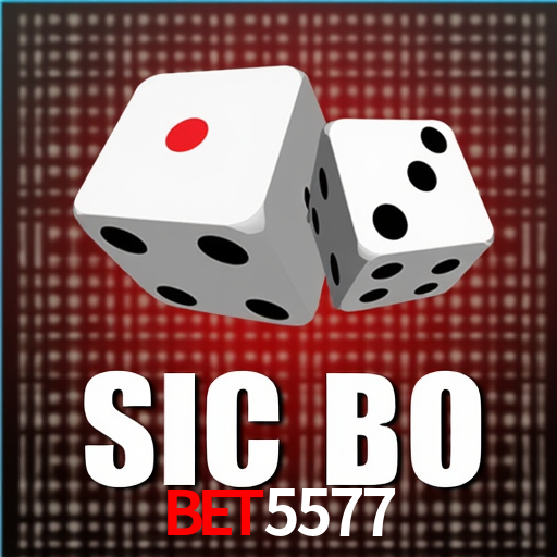 Experiência VIP Bet5577