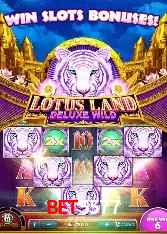 Design Responsivo Bet5577